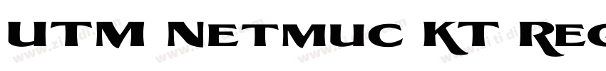UTM Netmuc KT Regula字体转换